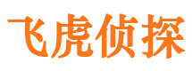 栖霞市侦探调查公司